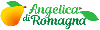 Angelica di Romagna